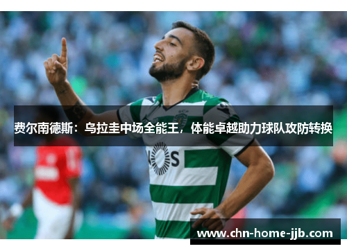 费尔南德斯：乌拉圭中场全能王，体能卓越助力球队攻防转换